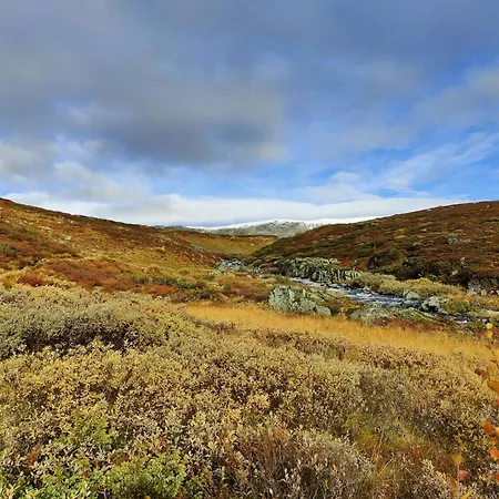 Mountain With Stunning View In Al אל
