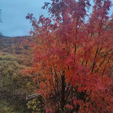 بيت للعطل Mountain With Stunning View In Al